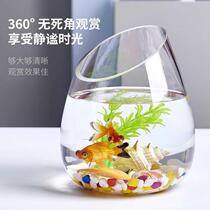 Round glass hydroponic plant vase transparent inclined fish tank oblique mouth green water culture flower pot hydroponic utensils aquarium