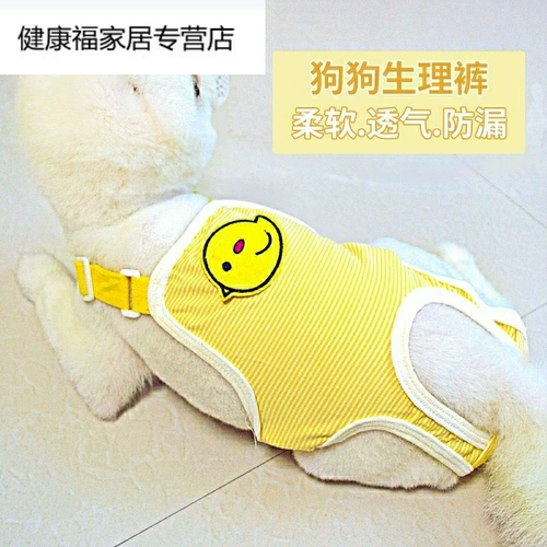 Pet сука физиологические штаны Тедди собака Луна Меридиан Фад обеспечивает гигиенические штаны