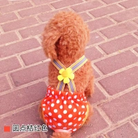 Страстный апельсиновый (ремешок)