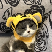 Заколка для волос, кролик, шпильки для волос, шапка, милый аксессуар для волос, шлем для принцессы, домашний питомец, кот