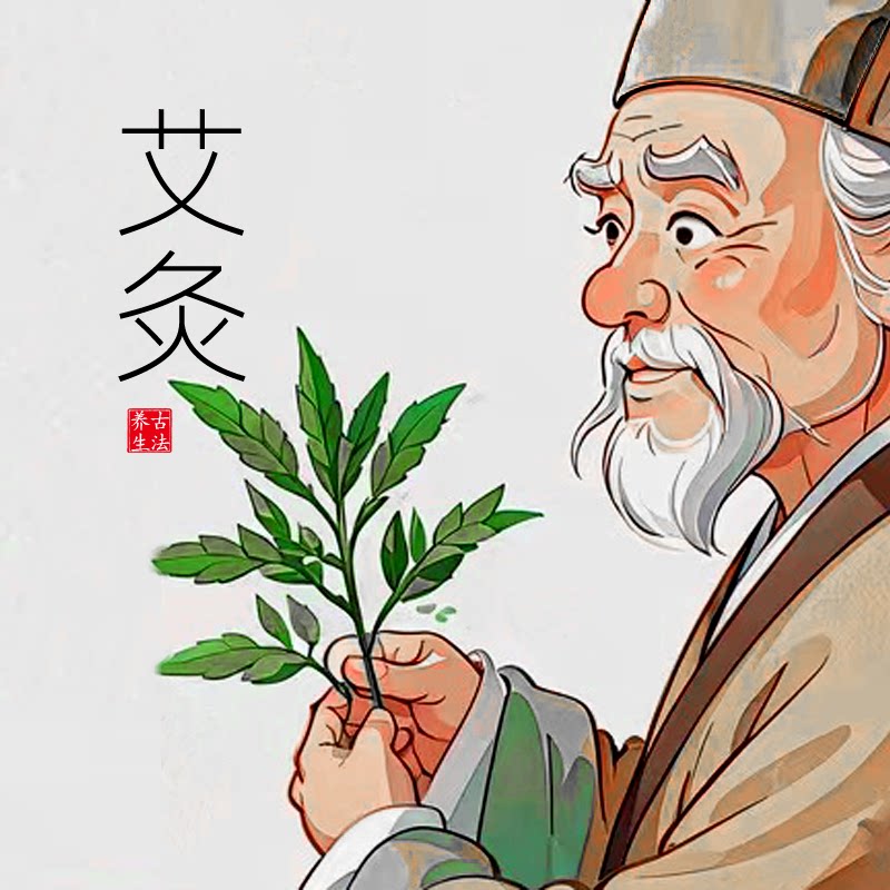 禾艾