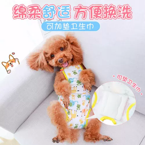 Puppy Teddy Fasun Fighting Physiological Bans