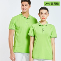 2077 Цветная бизнес -модель Fruit Green