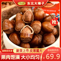 Pay back with Northeast Big Hazelnut 2024 New Arrival Original Flavored Roasted Nuts Northeast Specialty Snacks 248g*4 Bags