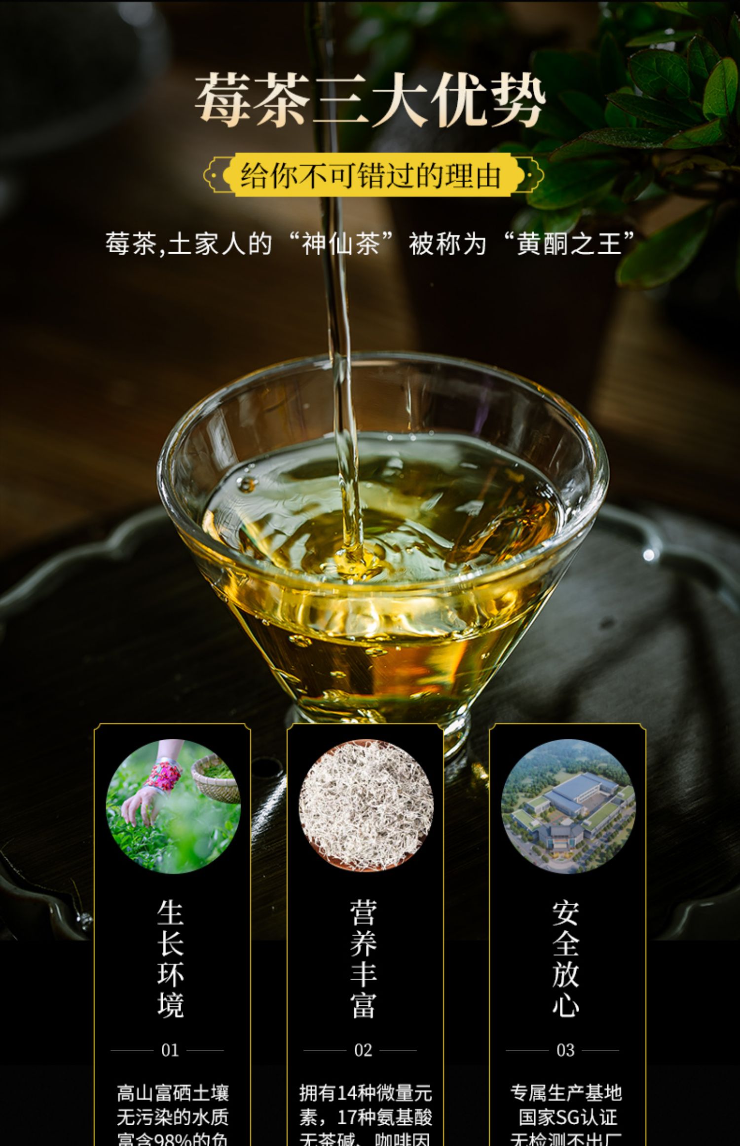 【天门郡】高品质野生莓茶罐装58g