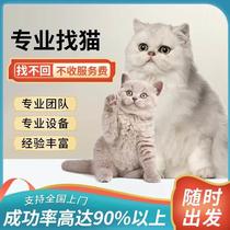 Cat and dog search company professional cat search team efficient door-to-door cat search notice to find pet artifact cat lost