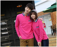 Роза красная