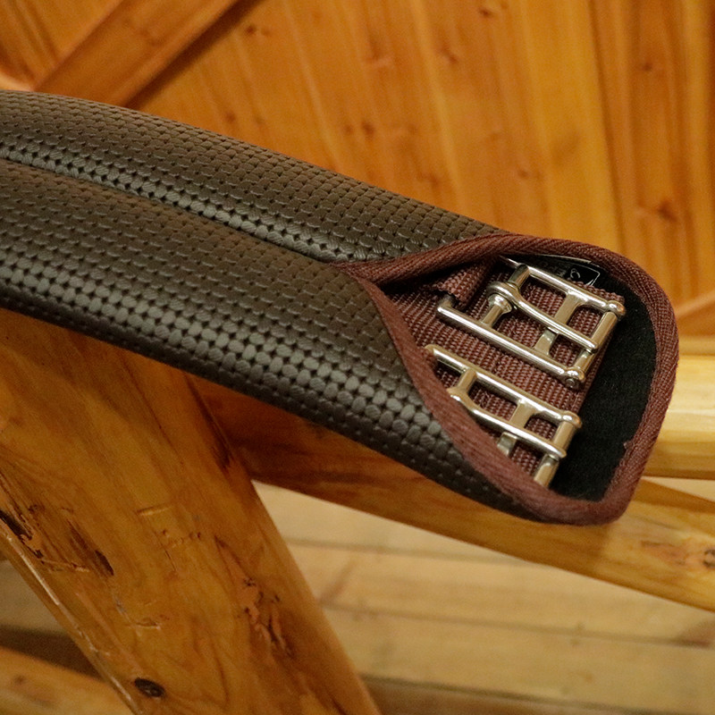 EPONA English belly GEN0004