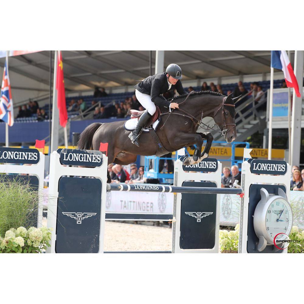 Ikonic obstacle big belly belt Shin horse harness IKO5505