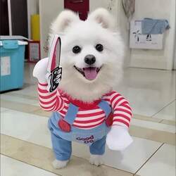 Knife-Wielding Dog Costume for Small Dogs, Funny Transformation Outfit for Halloween, Bichon, Pomeranian, Teddy, Cat Pet Supplies