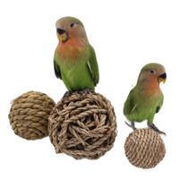 Parrot toys nibble the scarecrow the peonies of the peonies gnawing the toy and bird supplies to train for the puzzle.