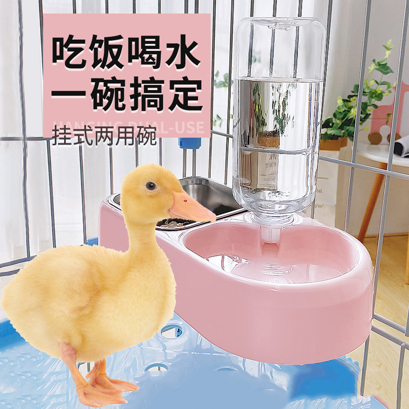 Duck feeder food bowl hanging pet Cole duck anti-stomping rabbit with chick eating bowl automatic drinking fountain