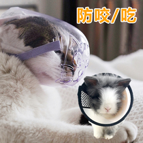 Rabbit anti-biting mouth pullover Pet anti-biting artifact mouth collar Dwarf lop rabbit anti-rabbit bite line