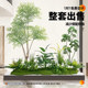 Artificial Green Plant Landscaping Combination for Window Decoration, Fake Plant Landscape for Courtyard Arrangement, Entrance Hall Indoor Atmosphere Tree