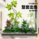 Simulated plant landscaping balcony landscape layout indoor artificial flower tree decoration under the stairs bionic green plant landscaping combination