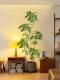 High-End Light Luxury Duckbill Wood Artificial Green Plant Indoor Living Room Large Potted Plant Imitation Fake Plant Floor-Standing Decorative Ornament