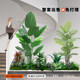 Simulated Green Plants for Indoor Stairway Landscaping, Corner Potted Plants, Artificial Trees, Simulated Tree Landscape Plants for Decoration