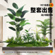 Artificial Green Plant Landscaping Combination for Window Decoration, Fake Plant Landscape for Courtyard Arrangement, Entrance Hall Indoor Atmosphere Tree