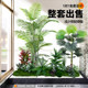 Simulated Green Plants for Landscaping, Indoor Landscape, Artificial Plant Combinations, Window Decoration, Courtyard Layout, Artificial Trees under Stairs