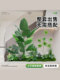 Simulated Green Plants for Landscaping, Indoor Landscape, Artificial Plant Combinations, Window Decoration, Courtyard Layout, Artificial Trees under Stairs