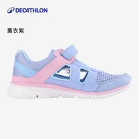 Лаванда фиолетовый