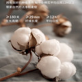 新疆棉四季特营店