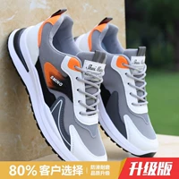 Серый F01 【обновление】