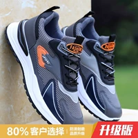 Грей 101 [обновление]