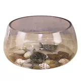 Специальная черепаха -заправляющая черепаха Черепаха Черепаха Черепаха Черепаха Домохозяйство Небольшое творческое рыболочное аквариум Рыба