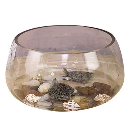Специальная черепаха -заправляющая черепаха Черепаха Черепаха Черепаха Черепаха Домохозяйство Небольшое творческое рыболочное аквариум Рыба