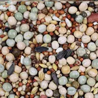 Нормальные десять фунтов без кукурузы