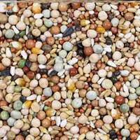 Десять фунтов питательных веществ имеют кукурузу