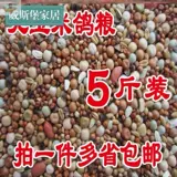 Голубиное зерновое зерно зерно 10 кот 50 Catties Бесплатная доставка 20 Catties кормового зерна голубь без кукурузного питания пищевых голубей