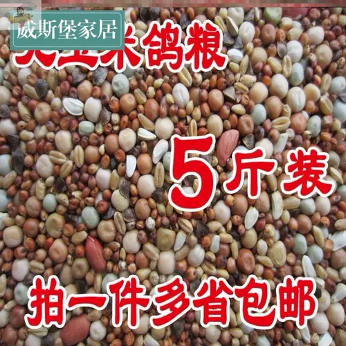 Голубиное зерновое зерно зерно 10 кот 50 Catties Бесплатная доставка 20 Catties кормового зерна голубь без кукурузного питания пищевых голубей