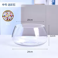 Средний бак черепах, дающий камень