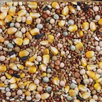 В обычных пяти фунтов есть кукуруза