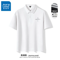 【230G】 Bai#Essay x