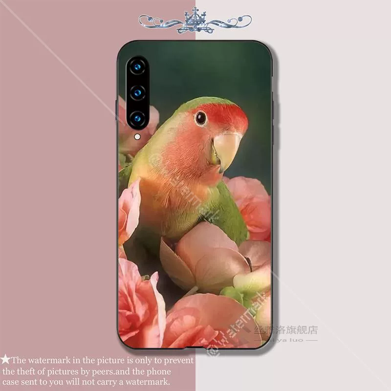 Цветной попугай мягкий чехол-кейc для Huawei Honor 7A 8s