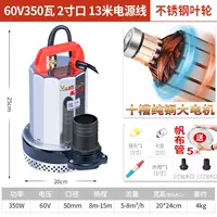 Из нержавеющей стали, 60v, 13м, 350W