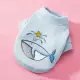 Синий кит