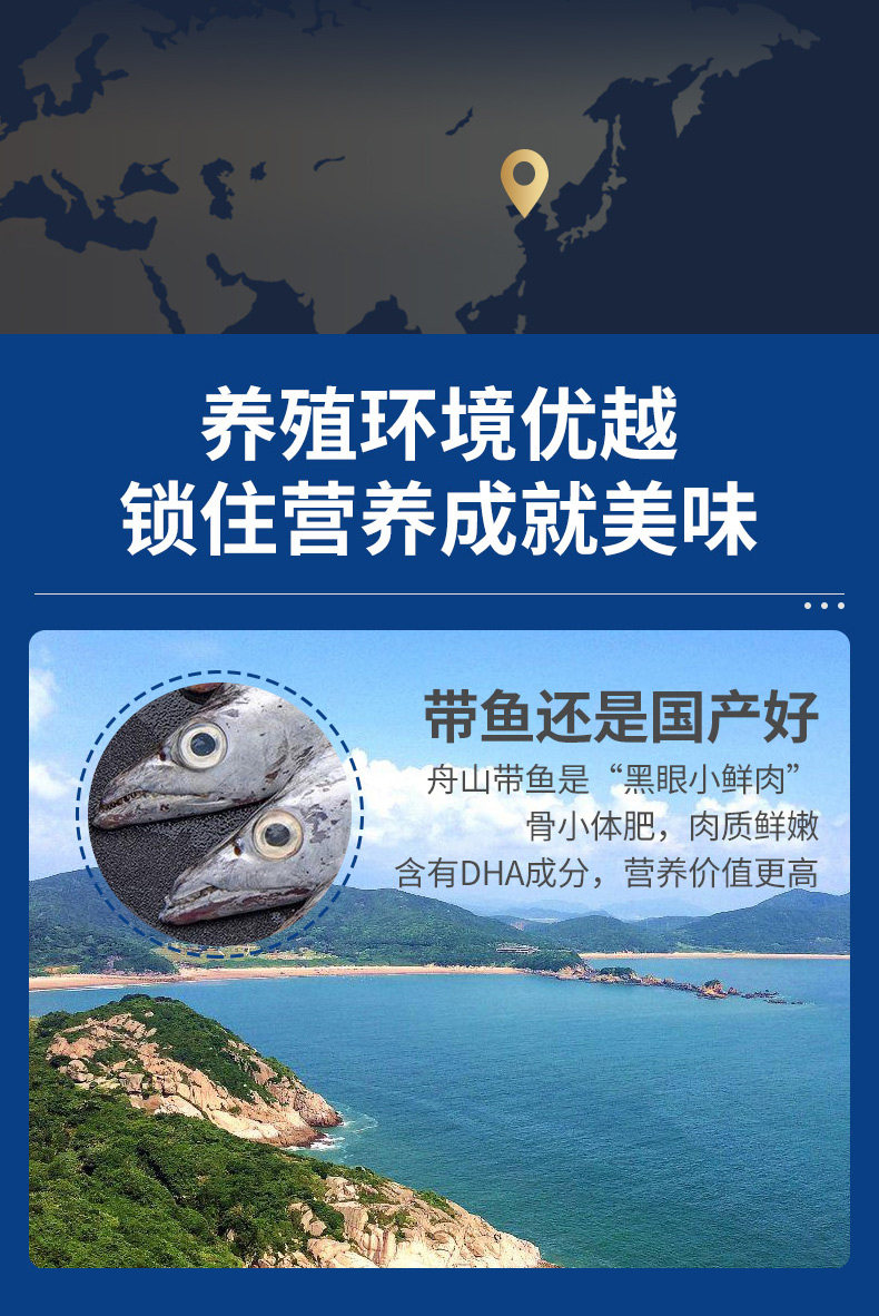 叼果熊  舟山野生新鲜带鱼中段 5斤装 图2