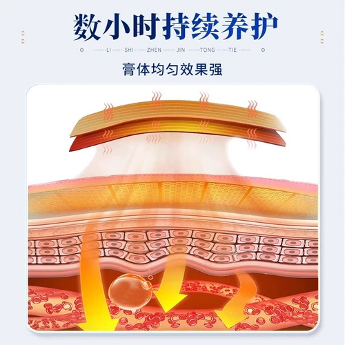 涩冈 Поясничные позвонки