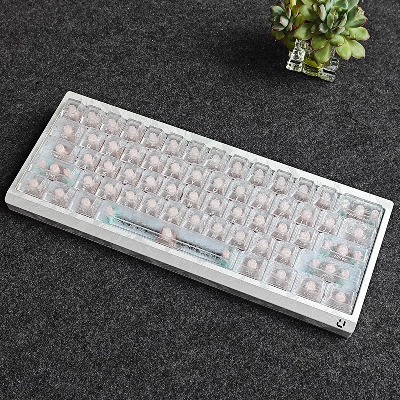 Wooting 60V2 Fully Modified to M1X Feather Case, Brand New in Stock, Keyboard Customization, Magnetic Switches, Fps Delta