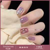 【Полу-трансмиссивный лотос фиолетовый】