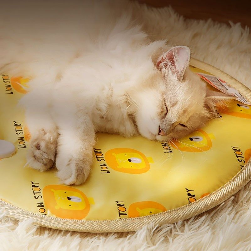 Pet Electric Blanket Cat Heating Cushion Cat Pooch Timing Thermostatic Mat Waterproof Anti-Grip Leakage Small Heating