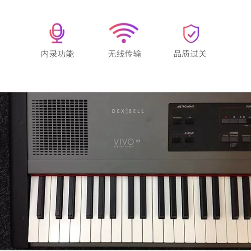 «Официальный флагманский магазин» Dexibell Vivo P7 Полный вес пианино поставляется с динамиком