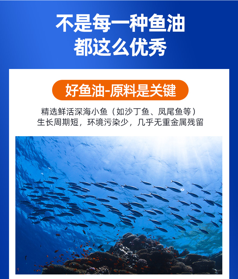 【无地区限制】朗迪深海鱼油软胶囊一瓶60粒