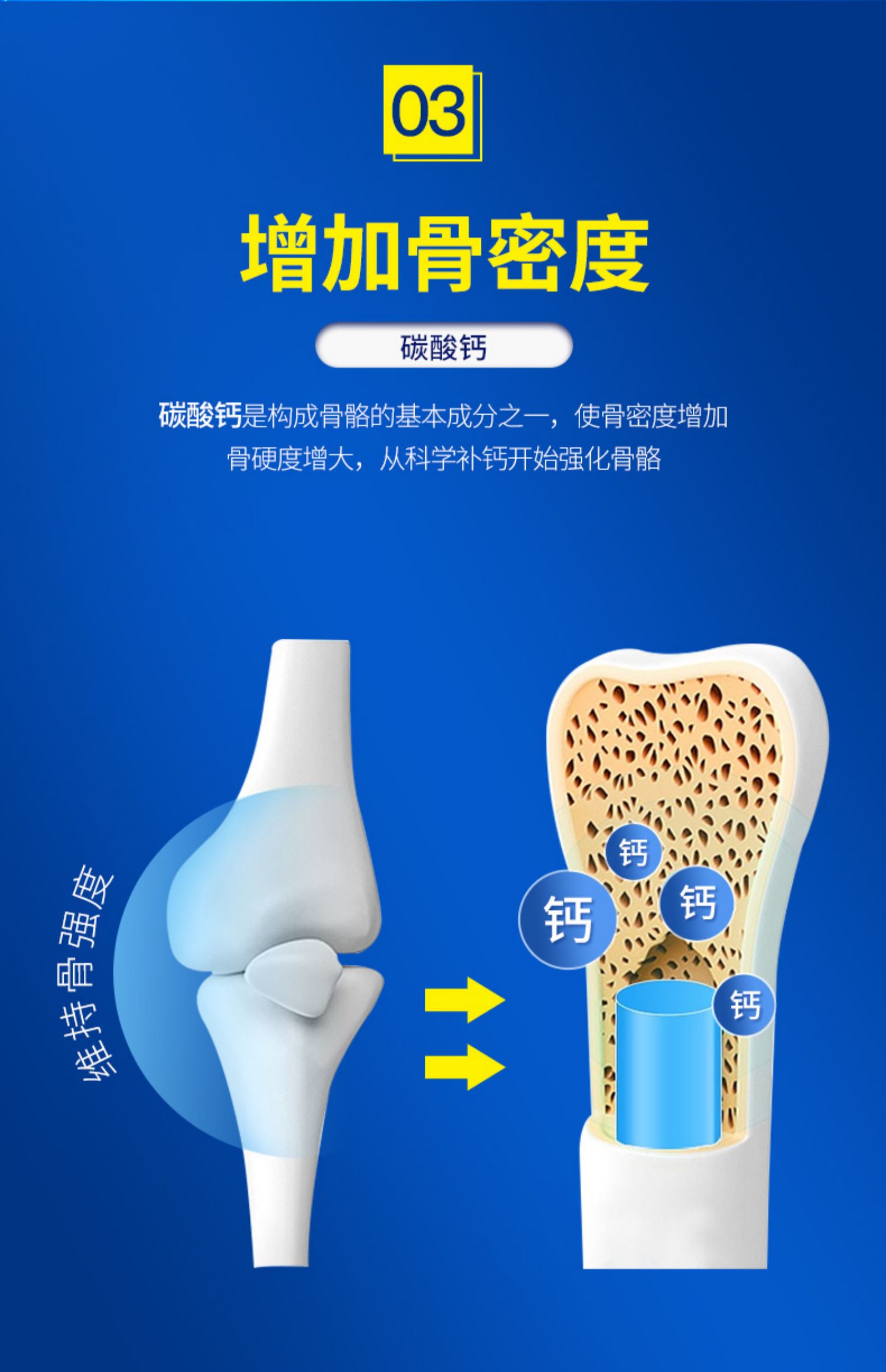 【朗迪】氨糖软骨素钙片40片