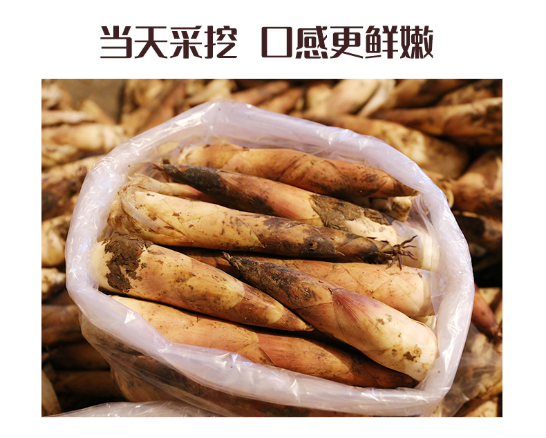 春笋新鲜现挖临安小竹笋1kg