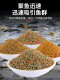 Japanese Imported Fish Bait for Small Carp, Suitable for Wild Carp, Flag Carp, Three-Color Carp, and Crucian Carp
